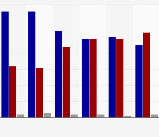 Voter-Search & Surveys